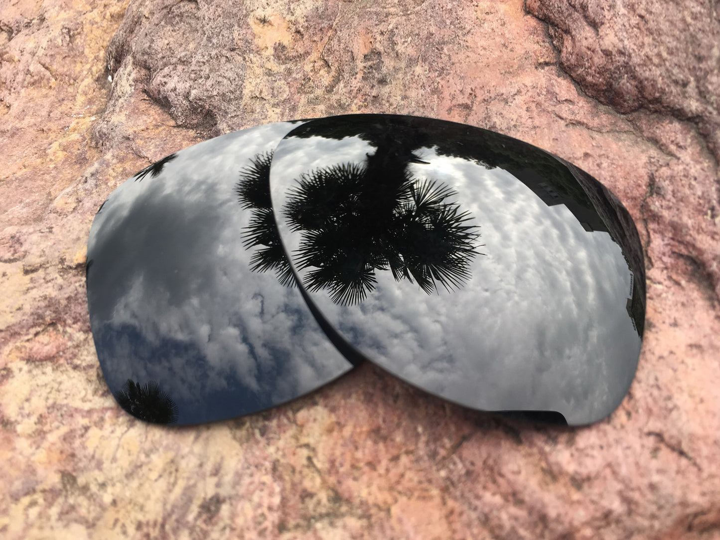 LenzPower Polarized Replacement Lenses for Dispatch 2 Options