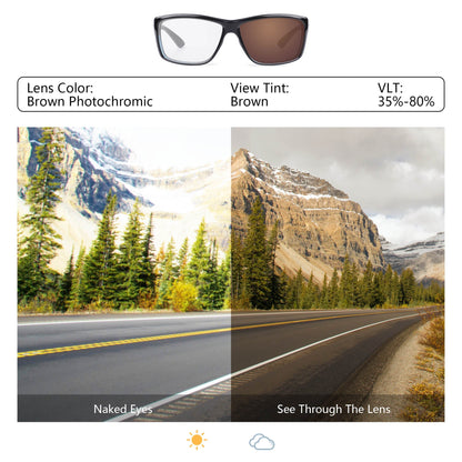 Brown Photochromic