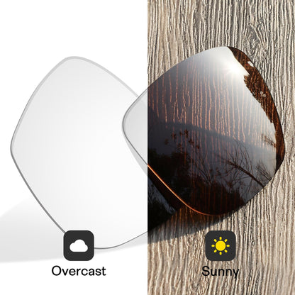 Brown Photochromic