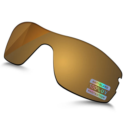 Bronze MirrorX™