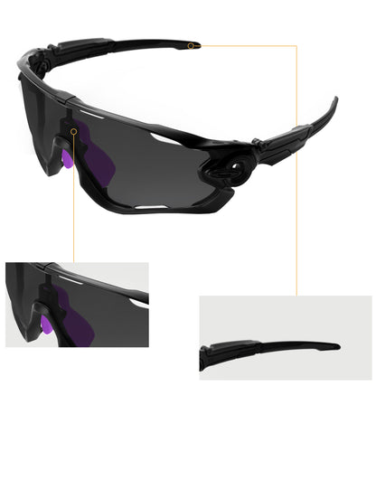 Purple-Asian Fit Standard