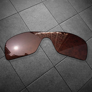 RAWD Replacement Lenses for-Oakley Antix Sunglass-Options