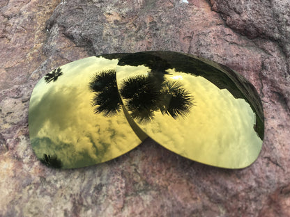 LenzPower Polarized Replacement Lenses for Dispatch 2 Options