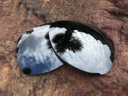 LenzPower Polarized Replacement Lenses for Dispatch 2 Options