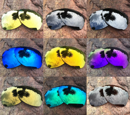 LenzPower Polarized Replacement Lenses for Dispatch 2 Options