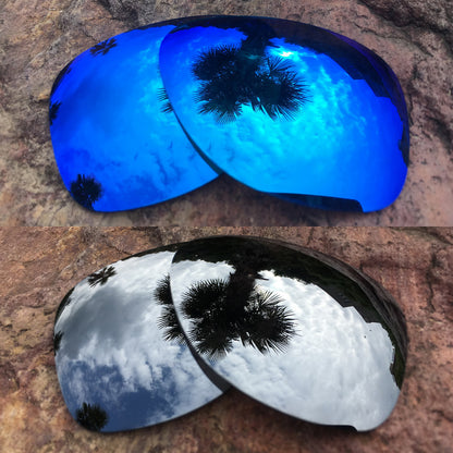 LenzPower Polarized Replacement Lenses for Dispatch 2 Options