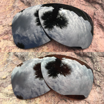 LenzPower Polarized Replacement Lenses for Dispatch 2 Options