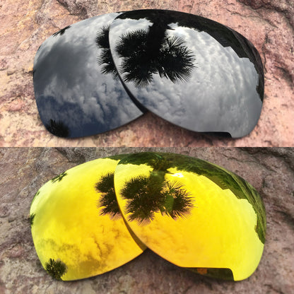 LenzPower Polarized Replacement Lenses for Dispatch 2 Options